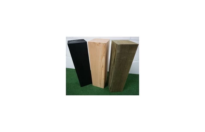 Douglas Schommel Nala - Image 3