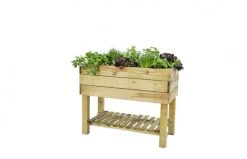 Woodvision Robuust Grenen, Groen Geïmpregneerd